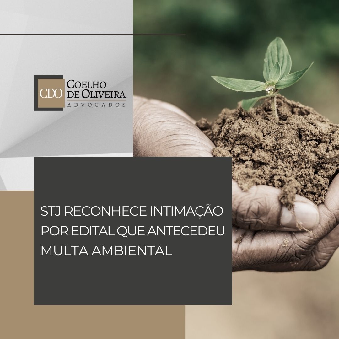 Leia mais sobre o artigo STJ RECONHECE INTIMAÇÃO POR EDITAL QUE ANTECEDEU MULTA AMBIENTAL